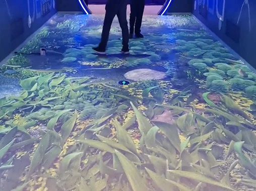魚水地面投影互動(dòng)-蘇州好奇數(shù)字科技有限公司